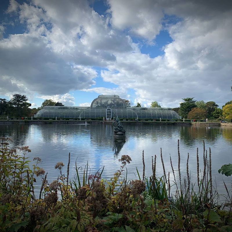 David K Kew Gardens - 4 David K Kew Gardens - 4
