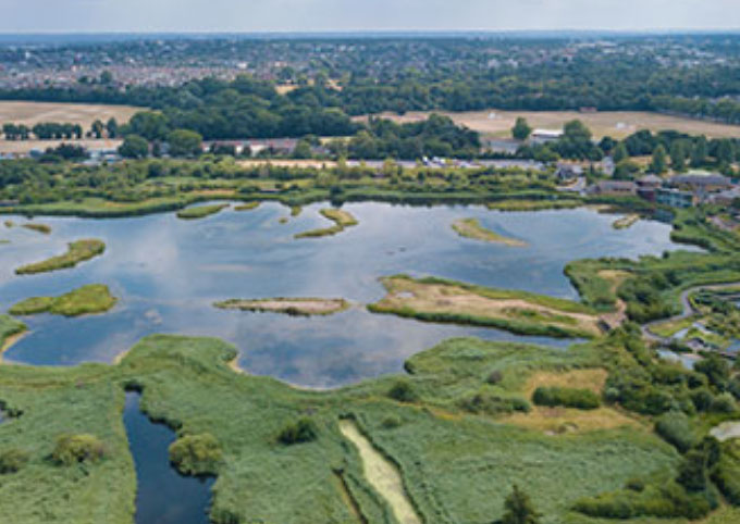 WWT Slimbridge Wetland Centre