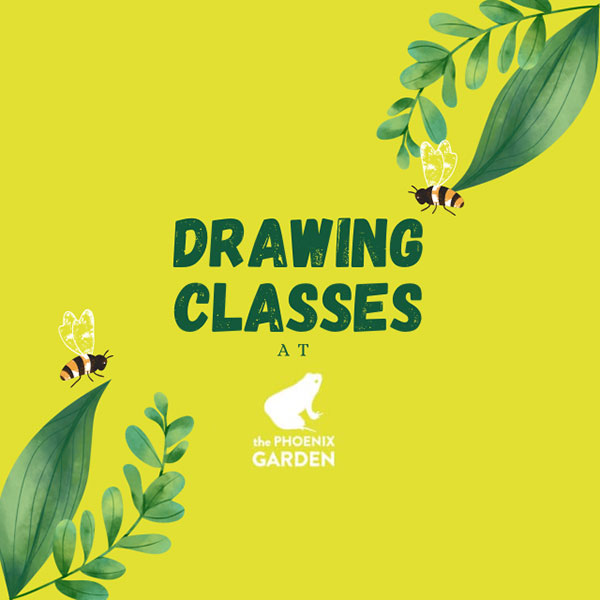 Drawing Classes