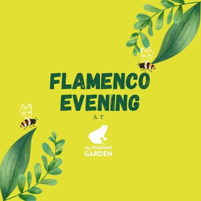 Flamenco Evening