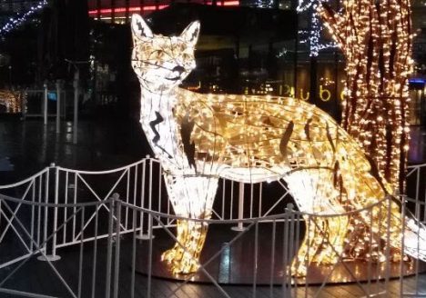 Fox in lights