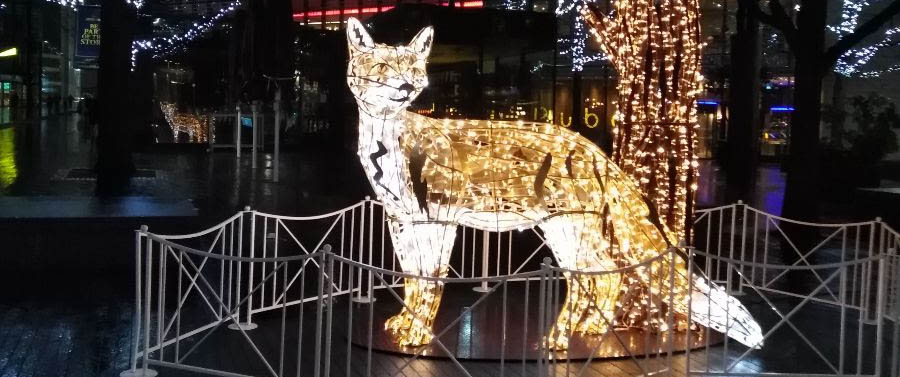 Fox in lights