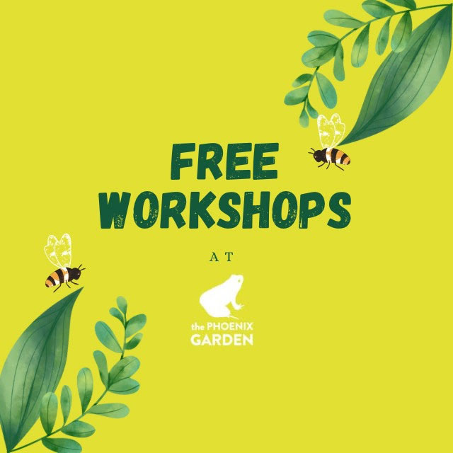 Free Workshops