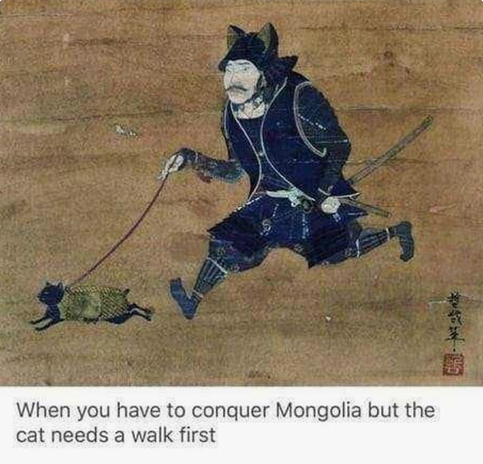 Funny Picture Funny Picture