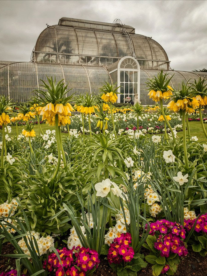 Kew Garden Greenhouse