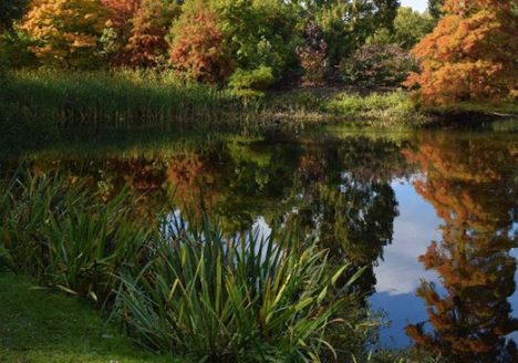Bench at Kew Gardens