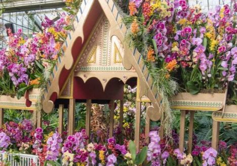 Orchids at Kew Gardens