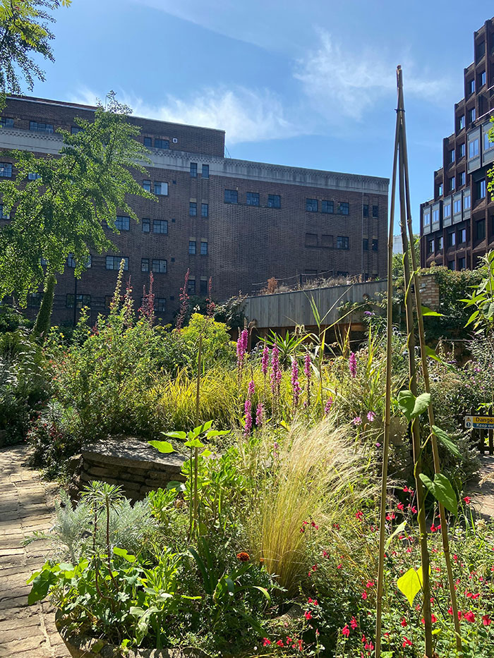 London's Best Secret Gardens