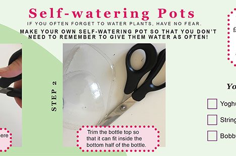 Self watering pots