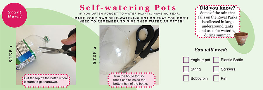 Self watering pots