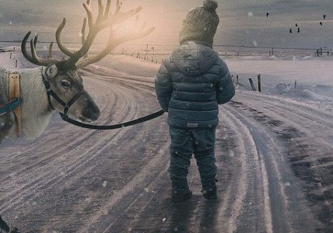 Reindeer and Child