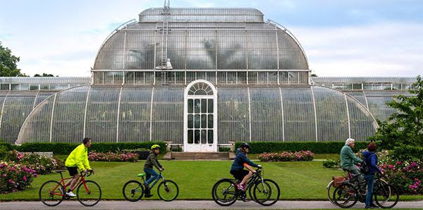 Summer Cycle at Kew