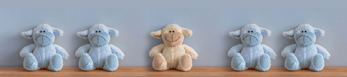 Teddies on shelf Teddies on shelf