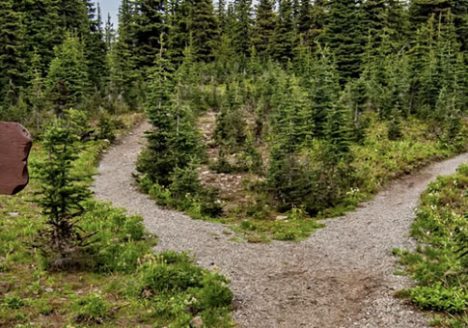 The Road Not Taken