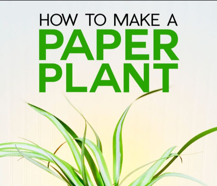 How to make a paper plant