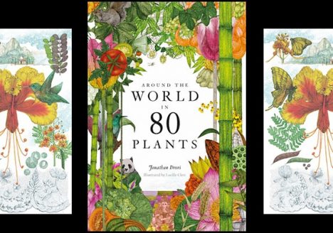 The World in 80 Plants
