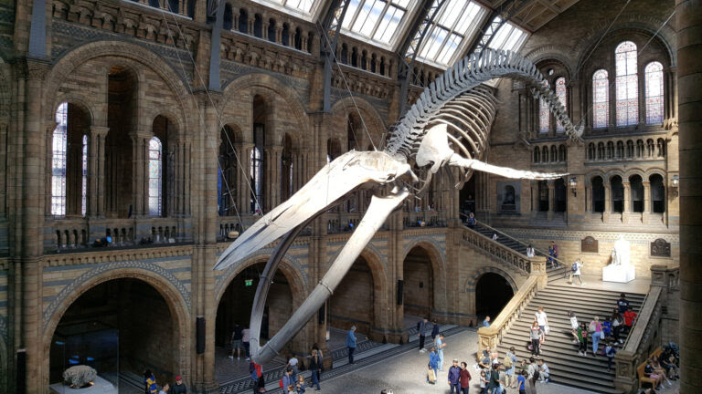 Natural History Museum