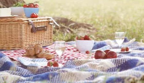 Picnic outing