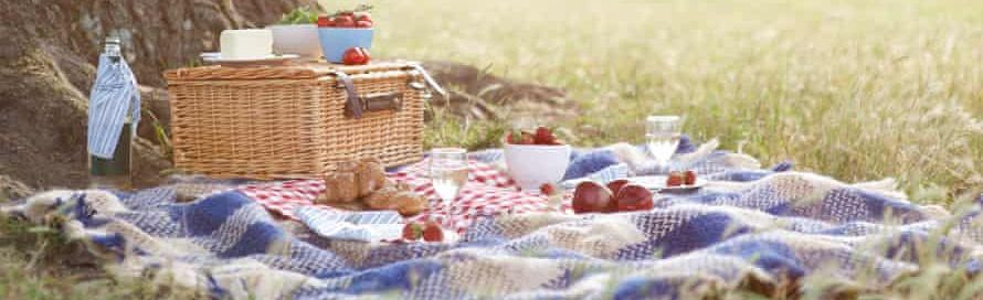 Picnic outing