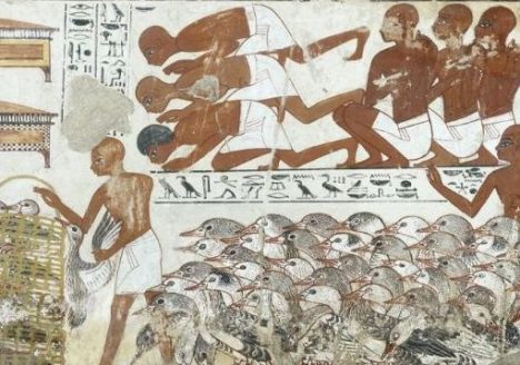 Hieroglyphs unlocking ancient Egypt
