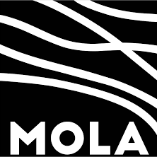 MOLA - Museum of London Archaeology MOLA - Museum of London Archaeology