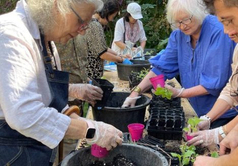 Gardening Club
