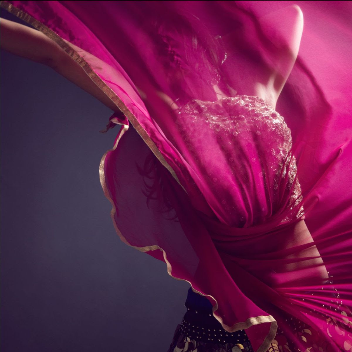 Beginners Belly Dance Beginners Belly Dance