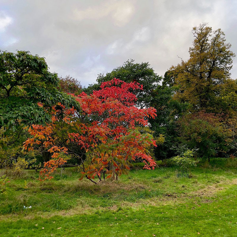 A Visit to Kew Gardens